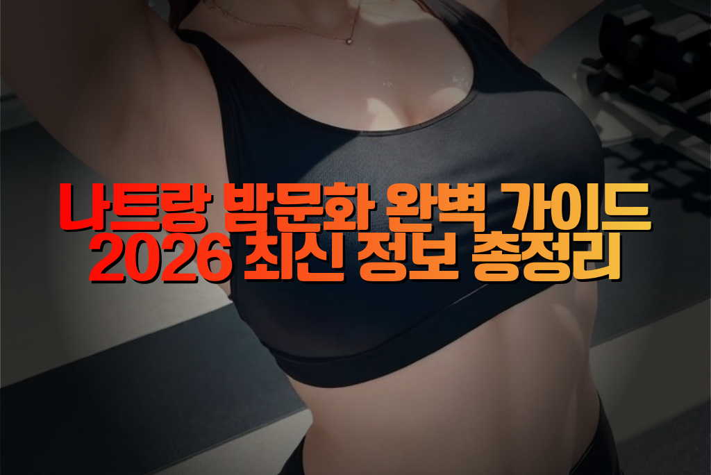 나트랑 밤문화 완벽 가이드 2026 최신 정보 총정리