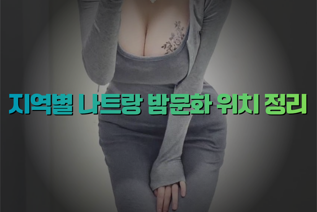 지역별 나트랑 밤문화 위치 정리